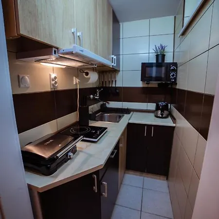 Stan Na Dan Premium 030 Apartment Bor